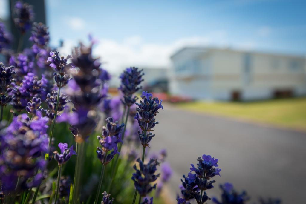 Park Merlo Bredene Zimmer foto
